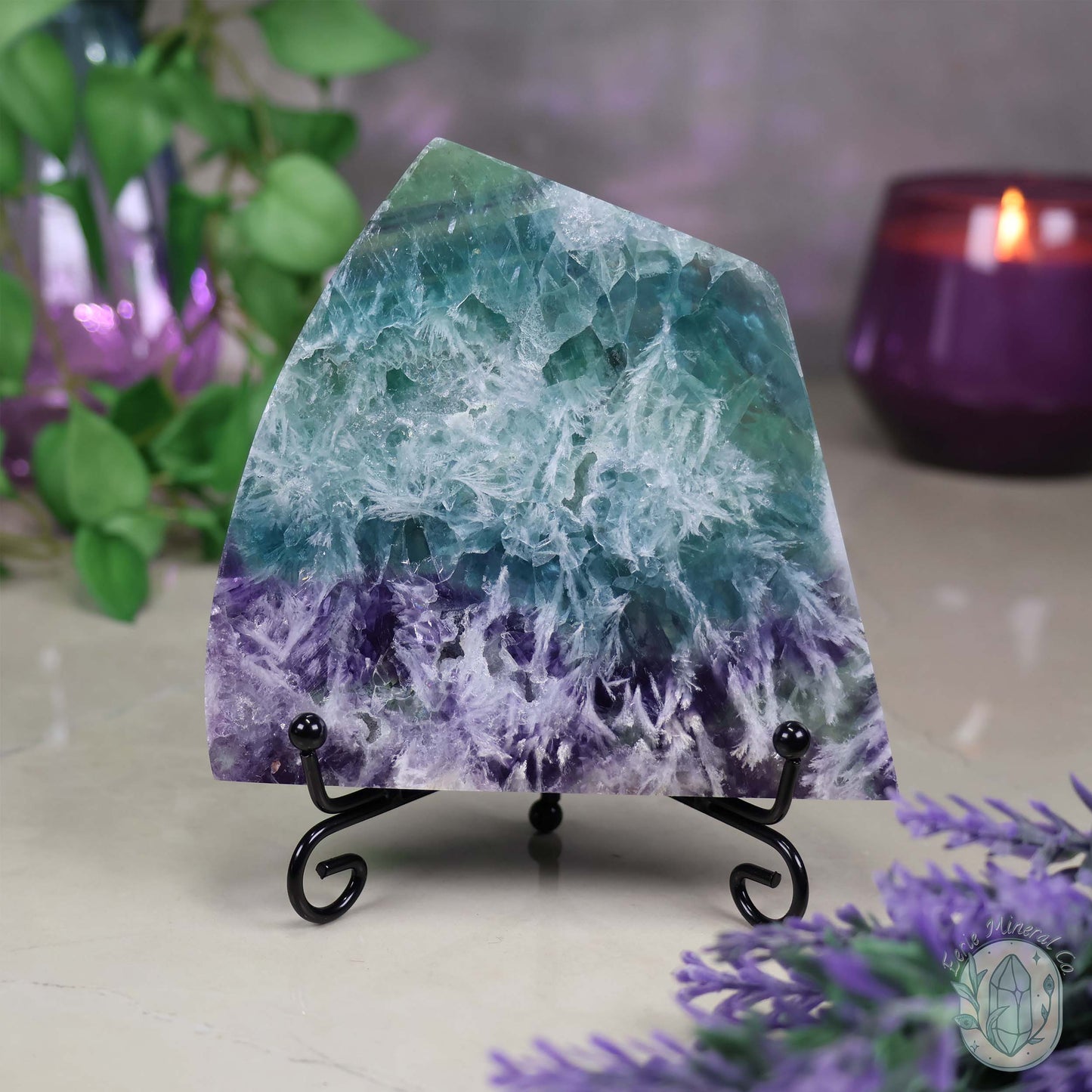  Polished Rainbow Feather Snowflake Fluorite Slab