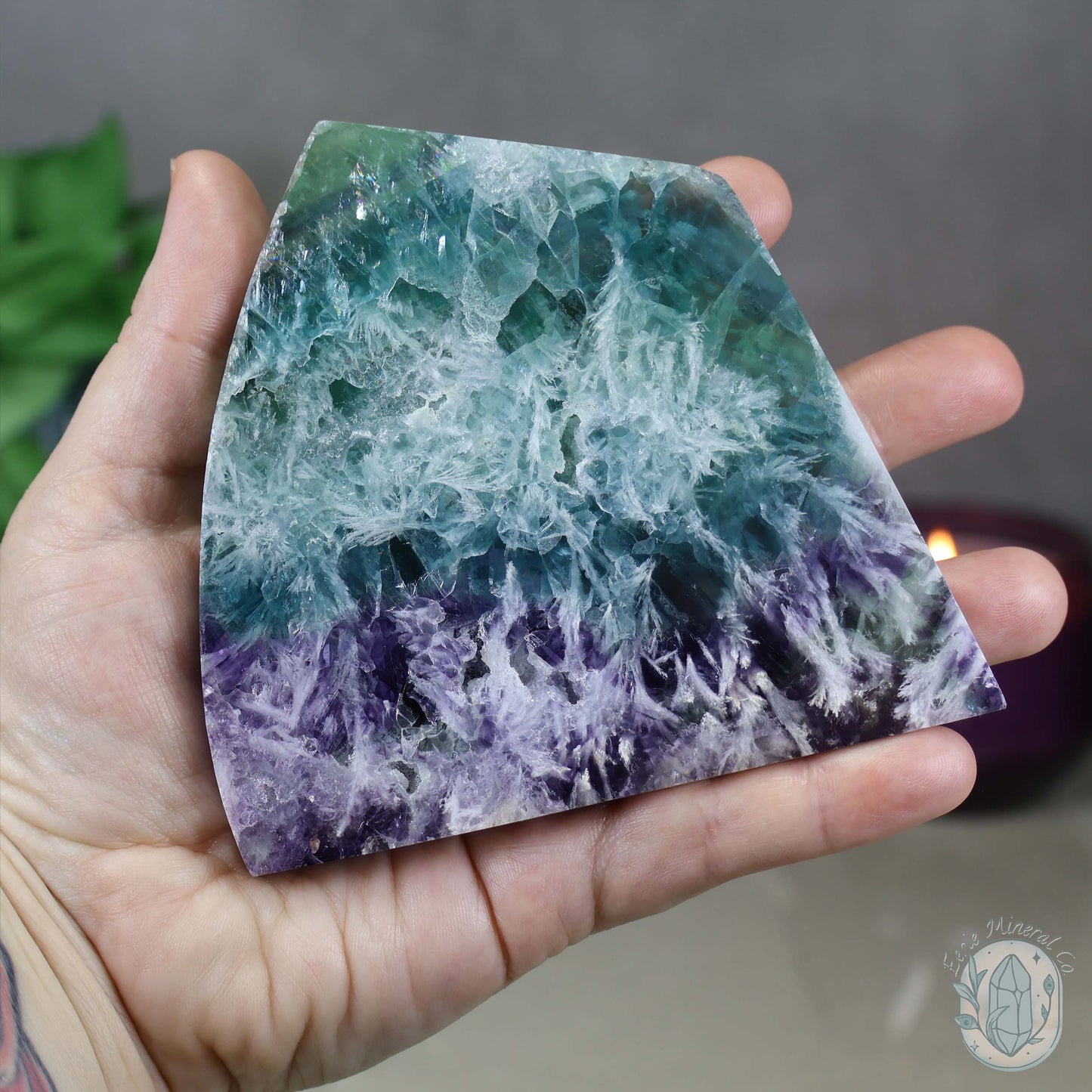  Polished Rainbow Feather Snowflake Fluorite Slab