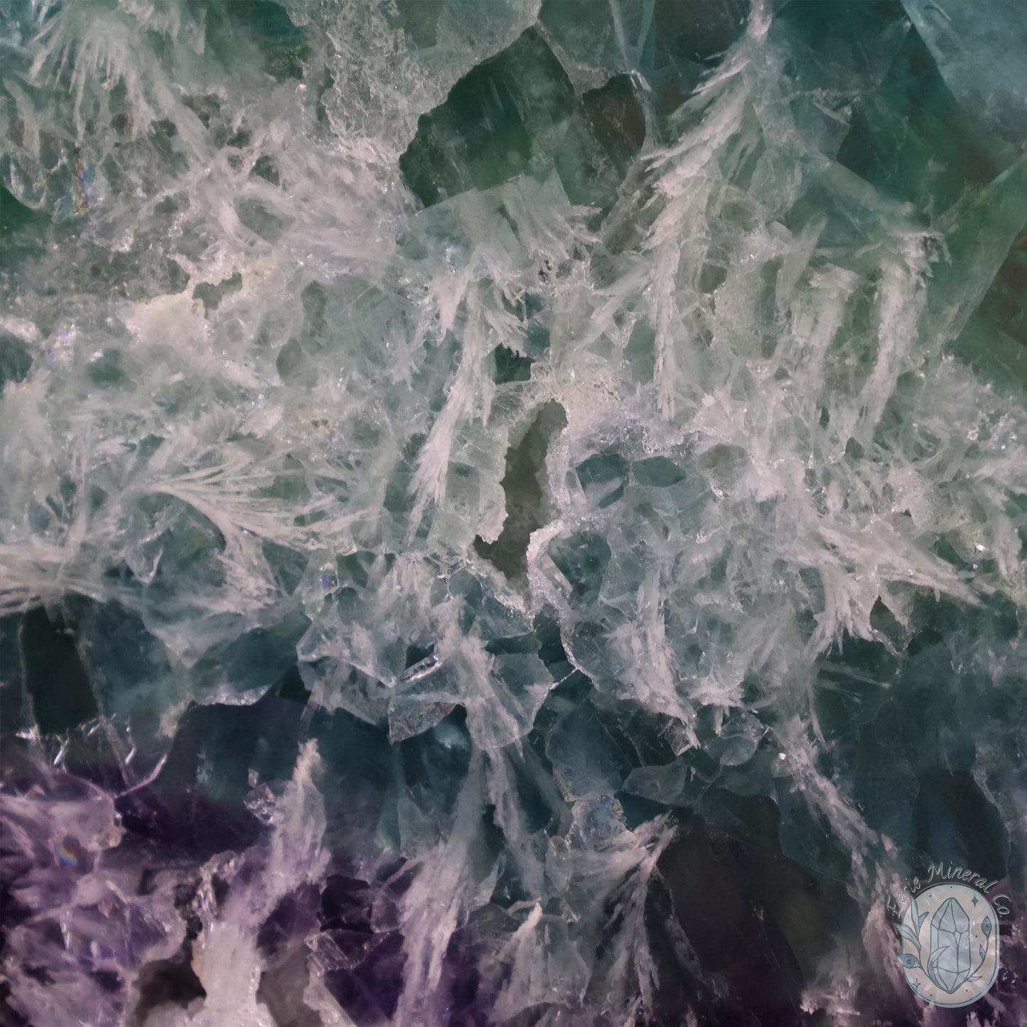  Polished Rainbow Feather Snowflake Fluorite Slab