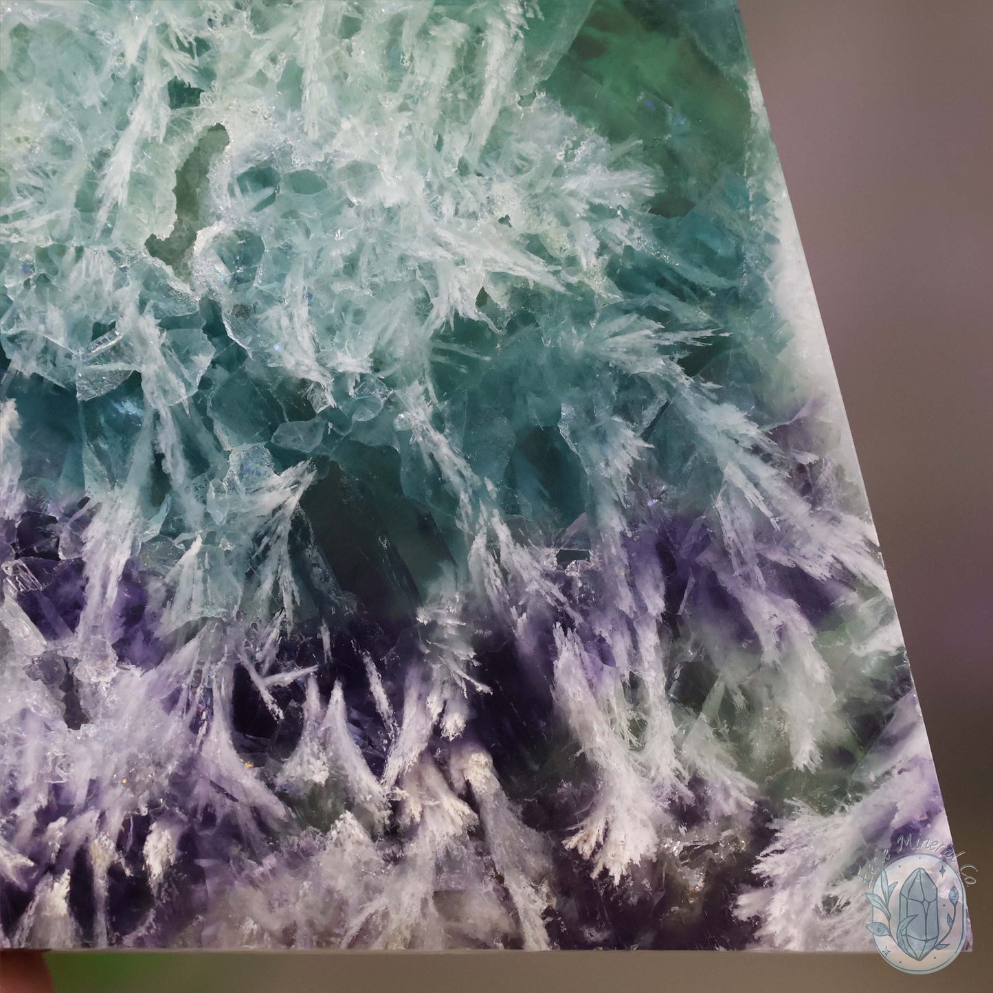  Polished Rainbow Feather Snowflake Fluorite Slab