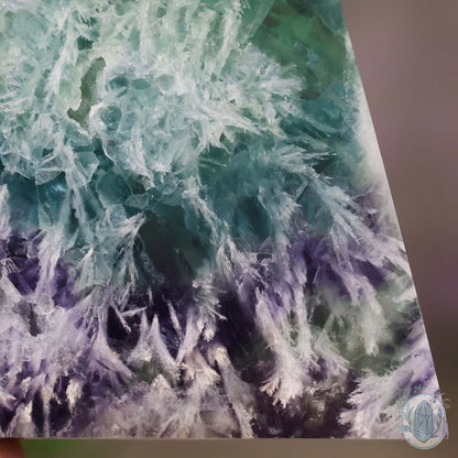  Polished Rainbow Feather Snowflake Fluorite Slab