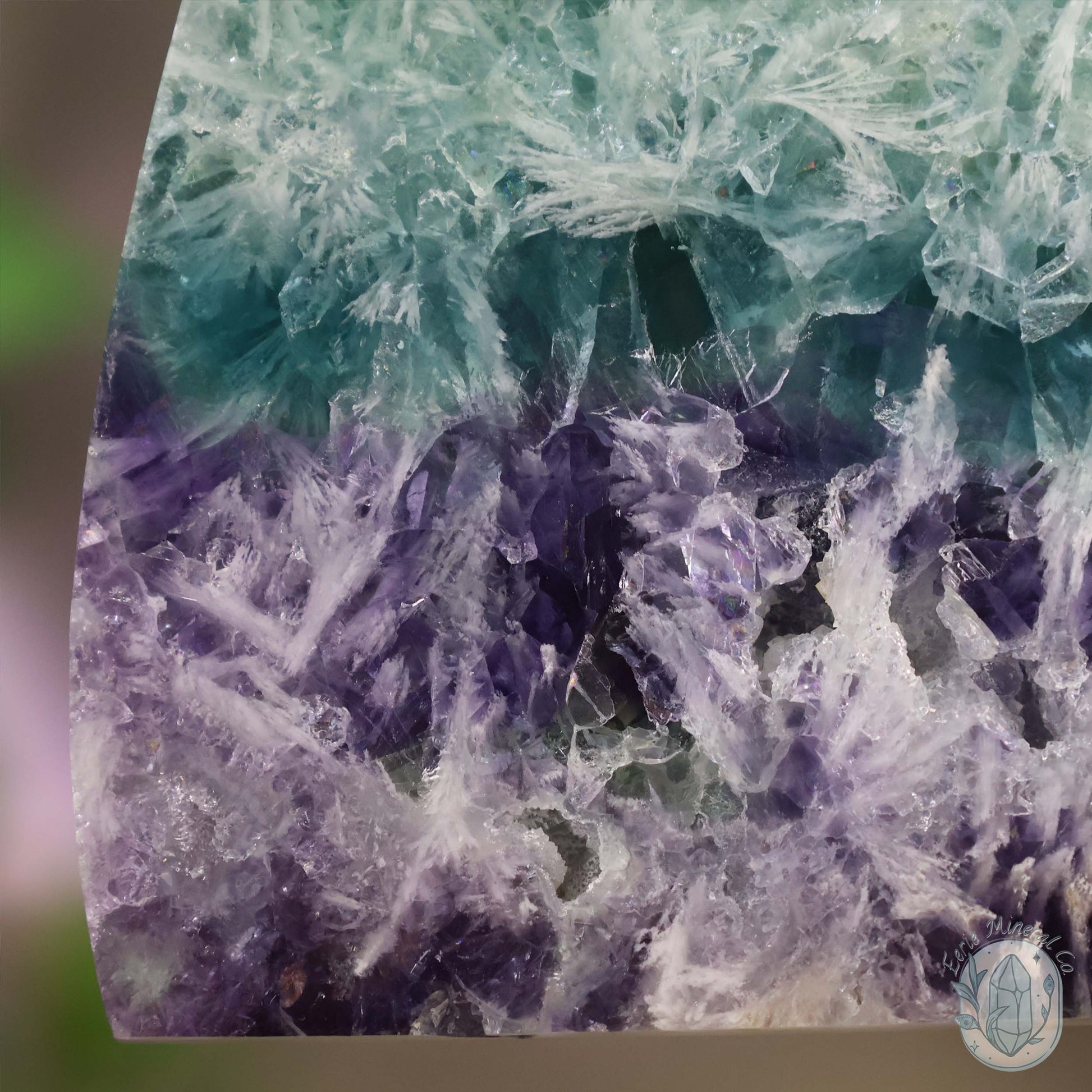  Polished Rainbow Feather Snowflake Fluorite Slab