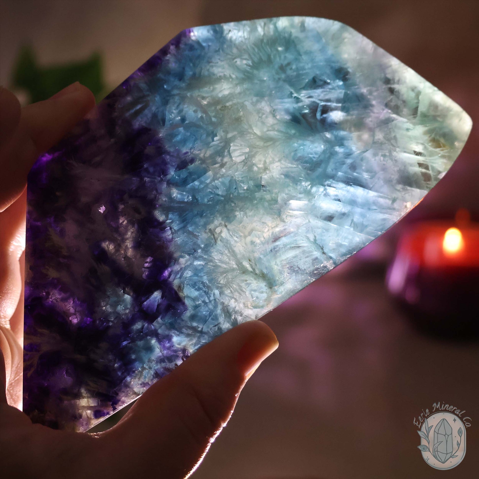  Polished Rainbow Feather Snowflake Fluorite Slab