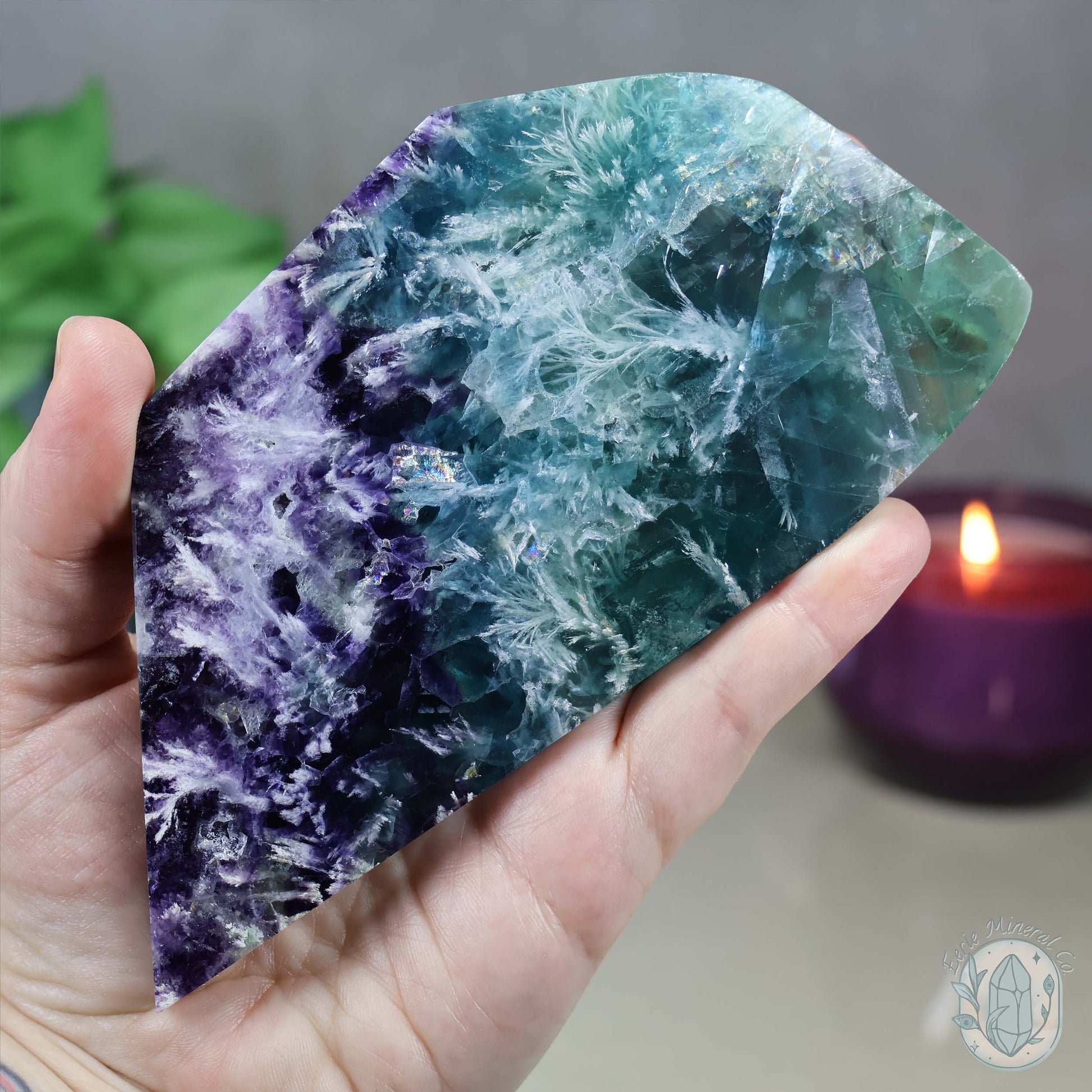  Polished Rainbow Feather Snowflake Fluorite Slab