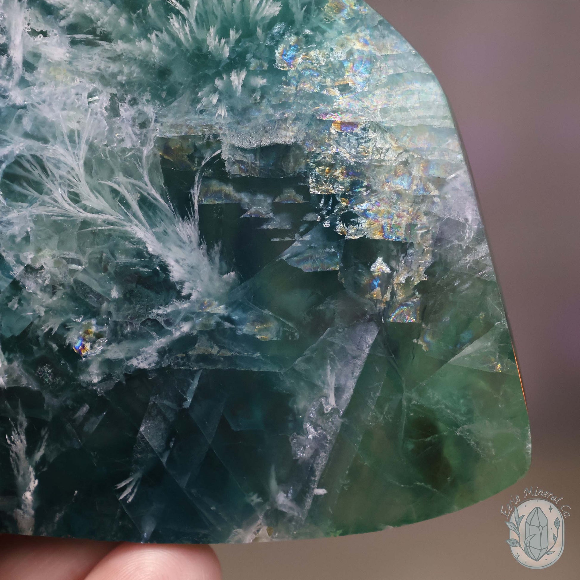  Polished Rainbow Feather Snowflake Fluorite Slab