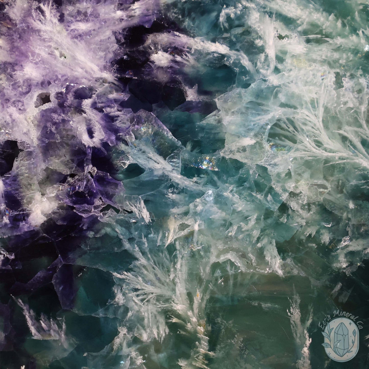  Polished Rainbow Feather Snowflake Fluorite Slab
