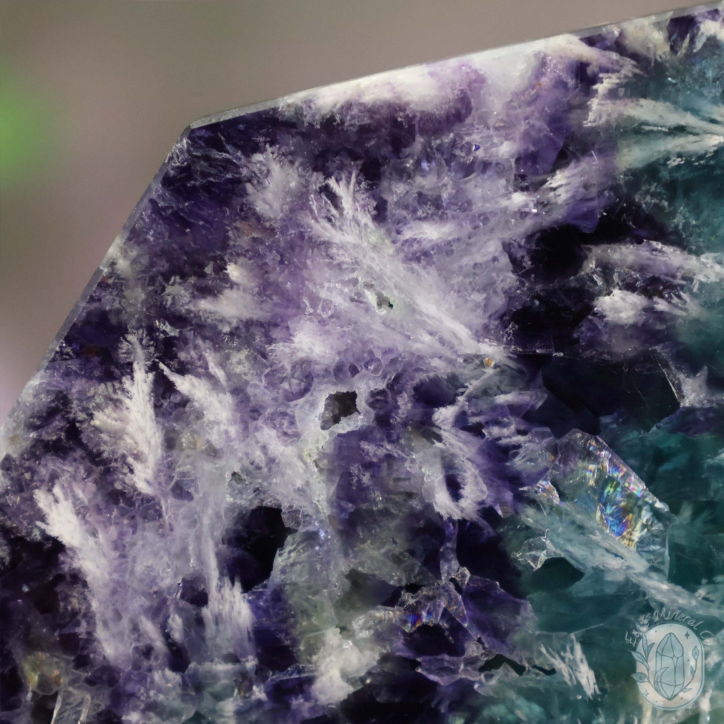  Polished Rainbow Feather Snowflake Fluorite Slab