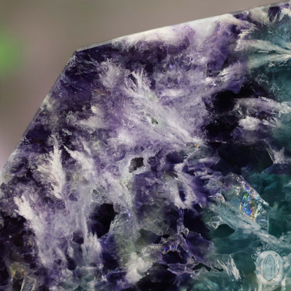  Polished Rainbow Feather Snowflake Fluorite Slab