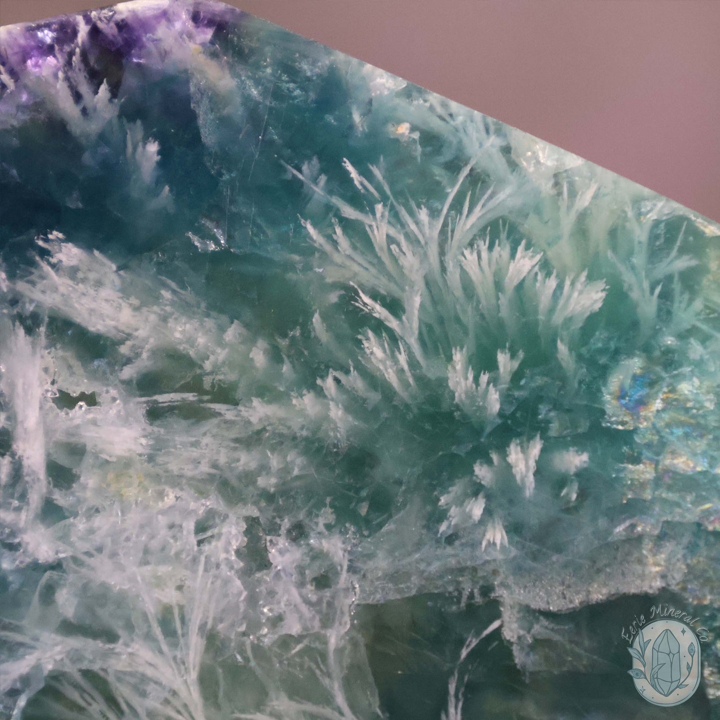  Polished Rainbow Feather Snowflake Fluorite Slab