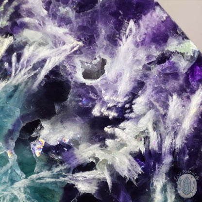  Polished Rainbow Feather Snowflake Fluorite Slab