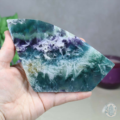  Polished Rainbow Feather Snowflake Fluorite Slab