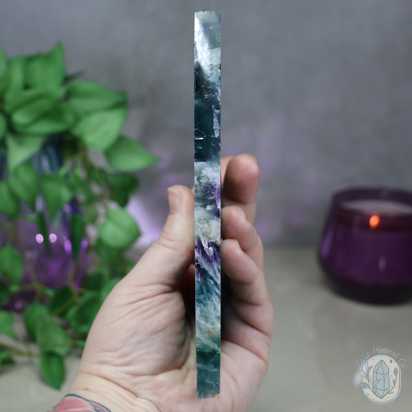 Polished Rainbow Feather Snowflake Fluorite Slab