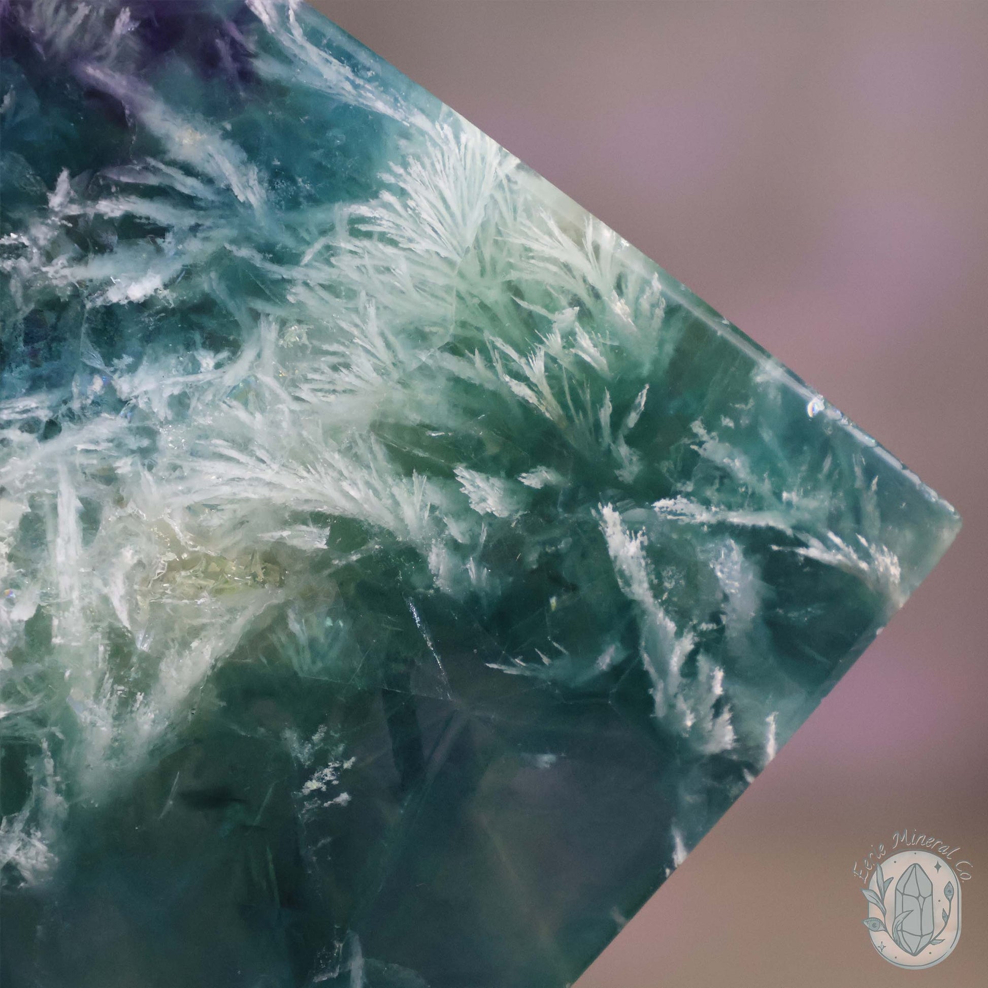  Polished Rainbow Feather Snowflake Fluorite Slab