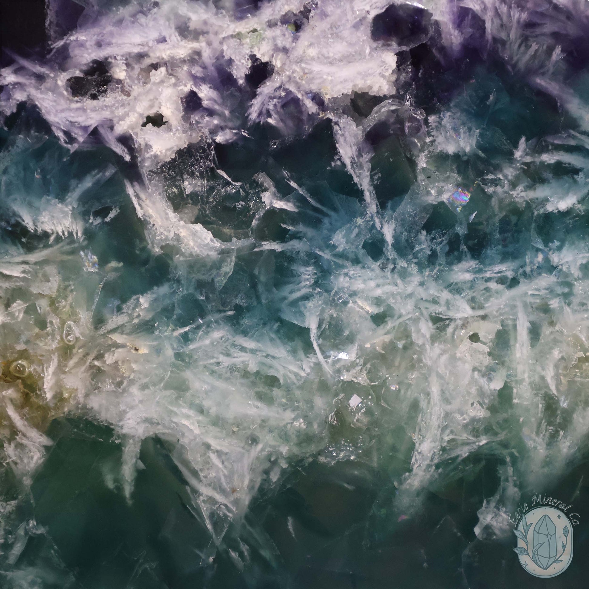  Polished Rainbow Feather Snowflake Fluorite Slab