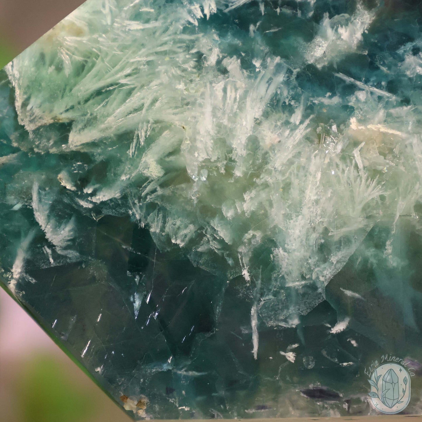  Polished Rainbow Feather Snowflake Fluorite Slab