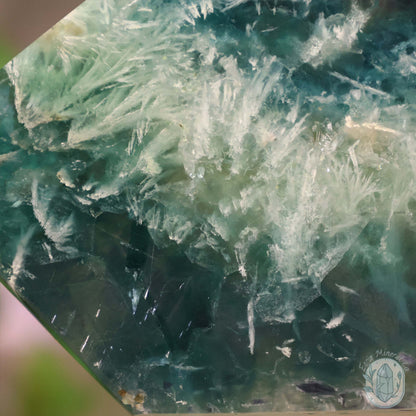  Polished Rainbow Feather Snowflake Fluorite Slab