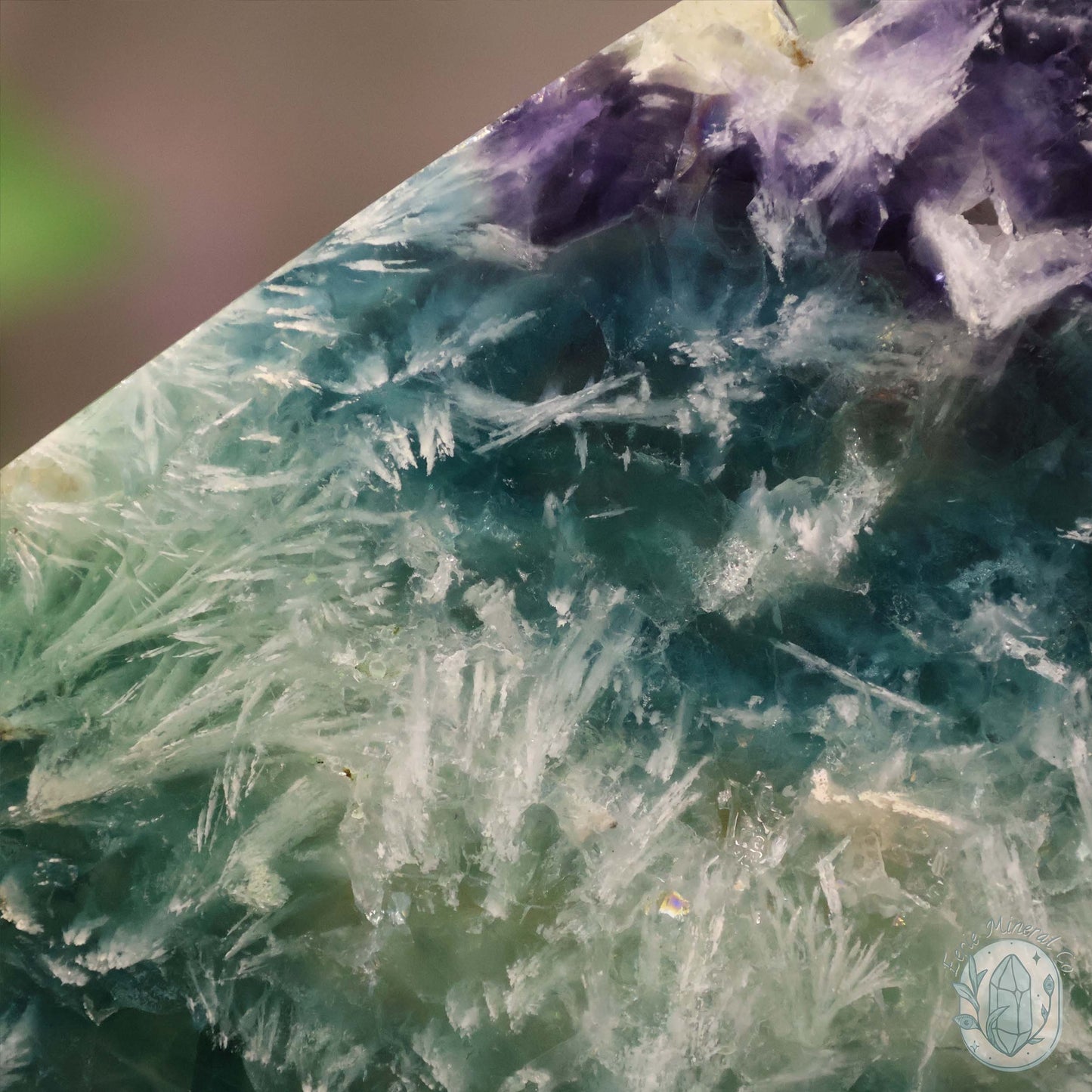  Polished Rainbow Feather Snowflake Fluorite Slab