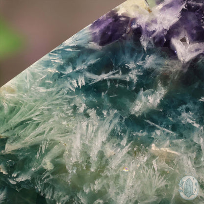  Polished Rainbow Feather Snowflake Fluorite Slab