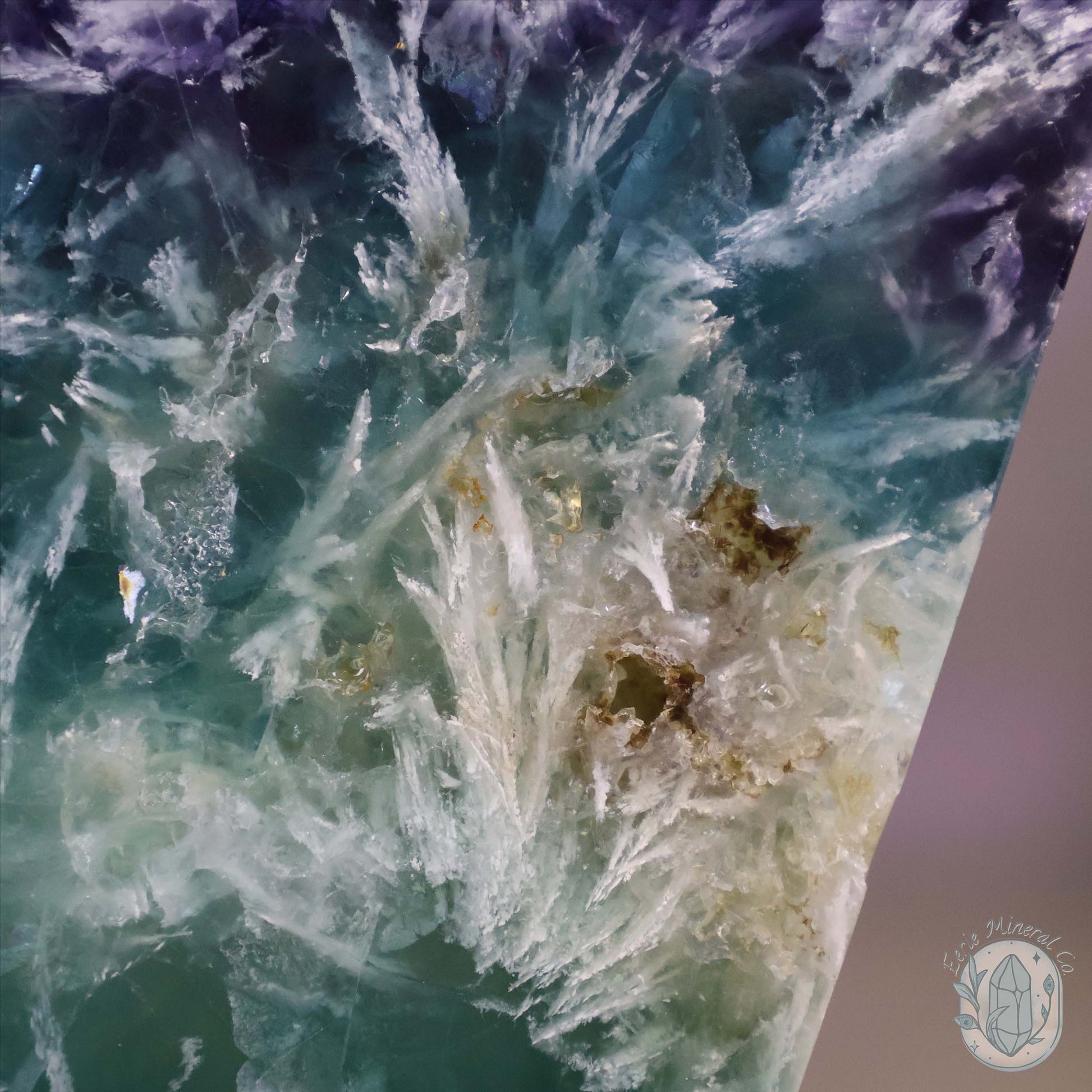 Polished Rainbow Feather Snowflake Fluorite Slab