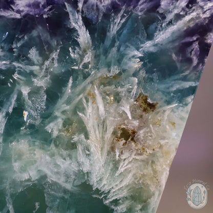  Polished Rainbow Feather Snowflake Fluorite Slab