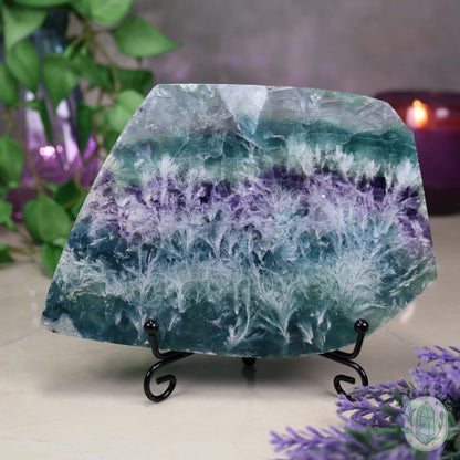 Polished Rainbow Snowflake Feather Slab With Stand