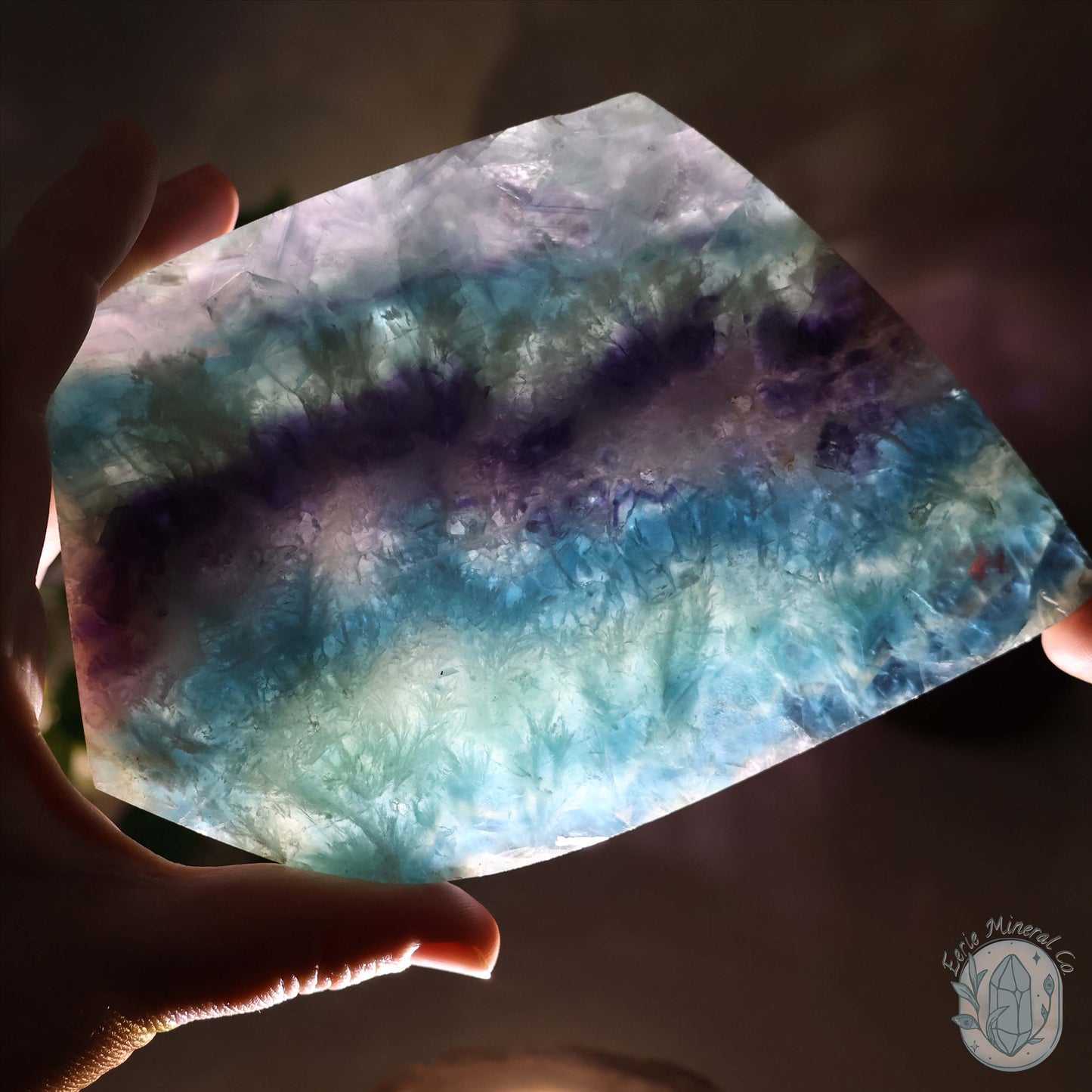 Polished Rainbow Snowflake Feather Slab With Stand