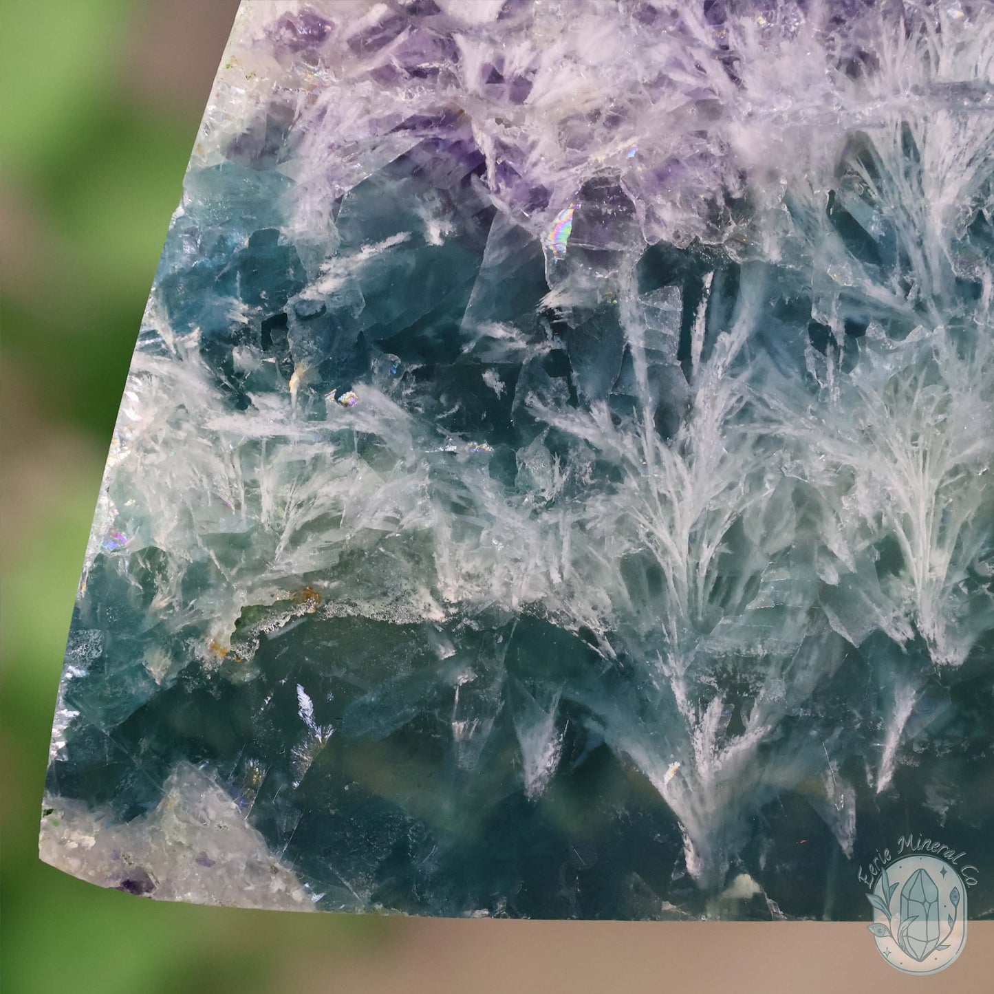 Polished Rainbow Snowflake Feather Slab With Stand