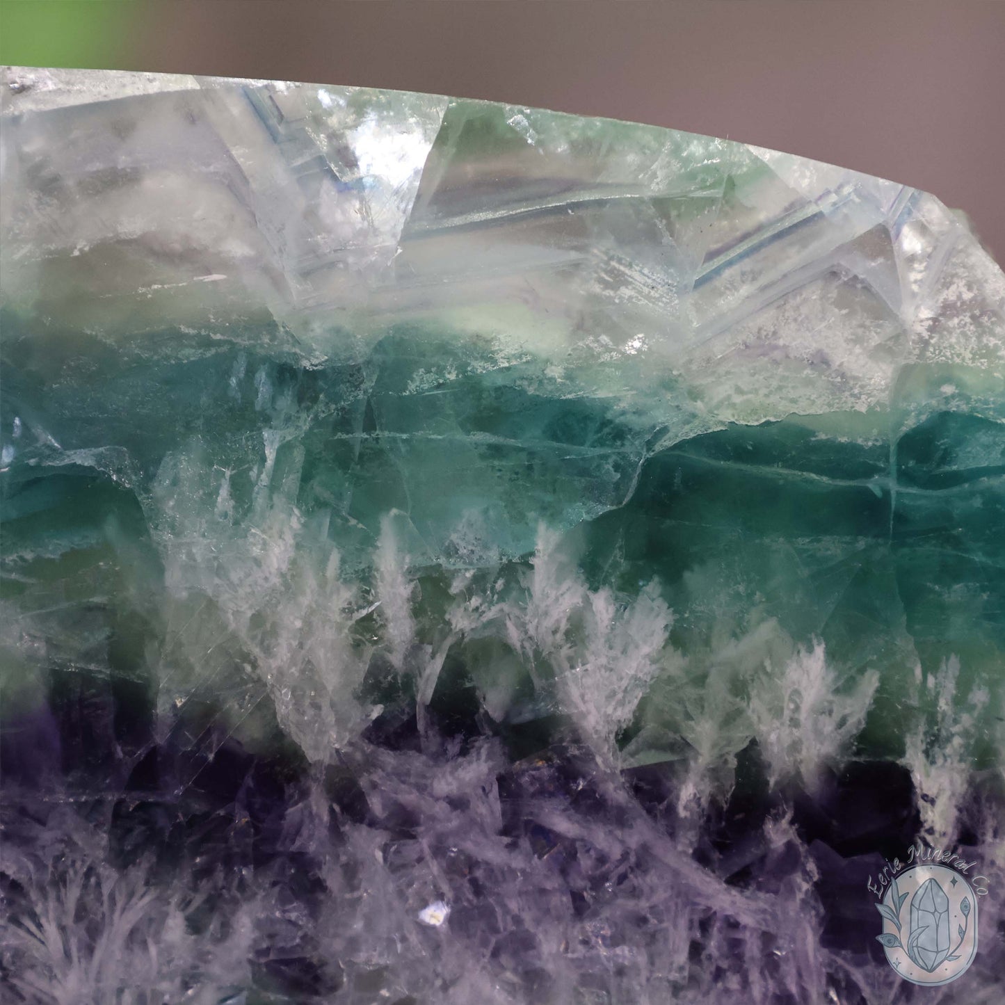 Polished Rainbow Snowflake Feather Slab With Stand