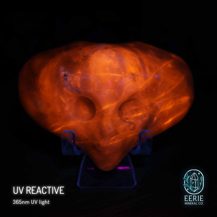 Sodalite Alien head carving on display stand - uv reactive