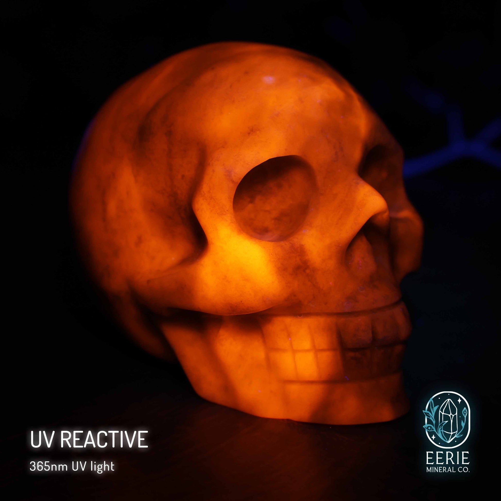 UV Reactive sodalite crystal skull carving