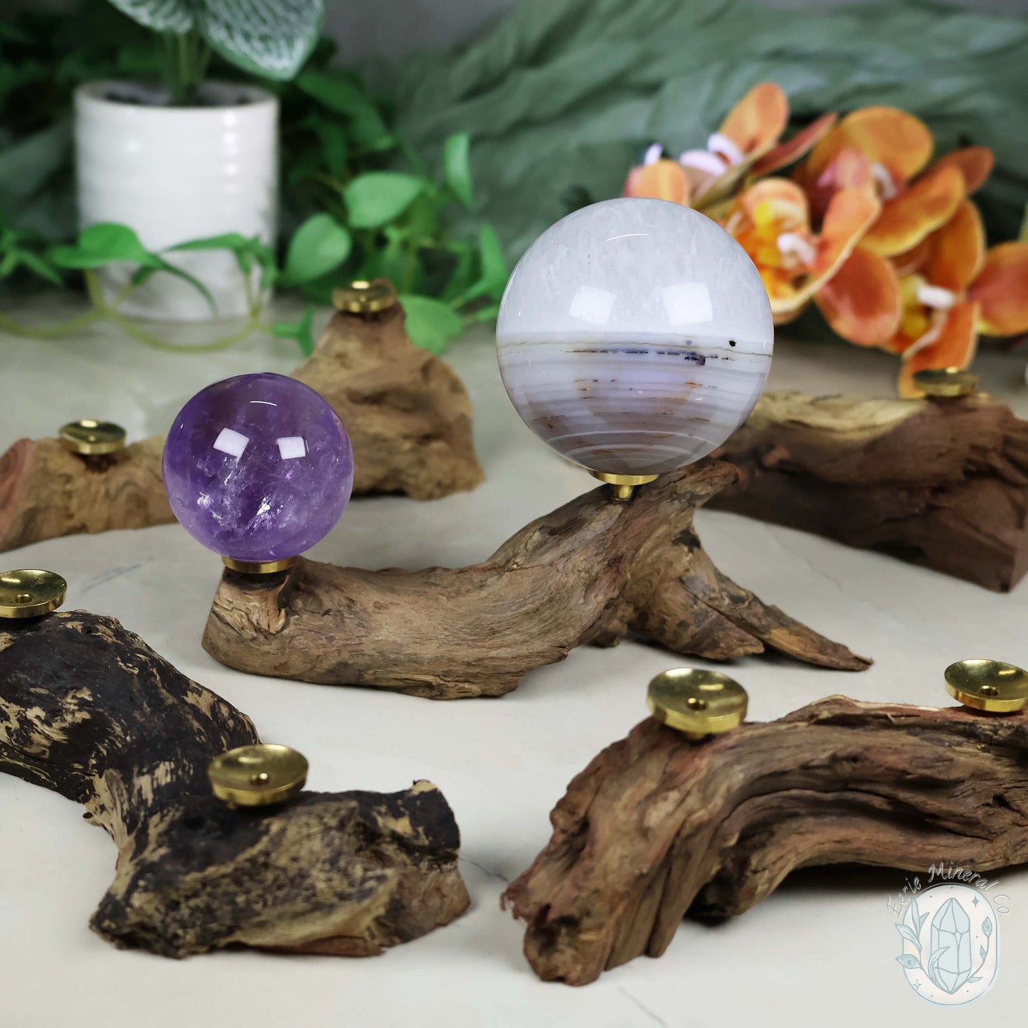 2 Sphere Holder Natural Driftwood Stands
