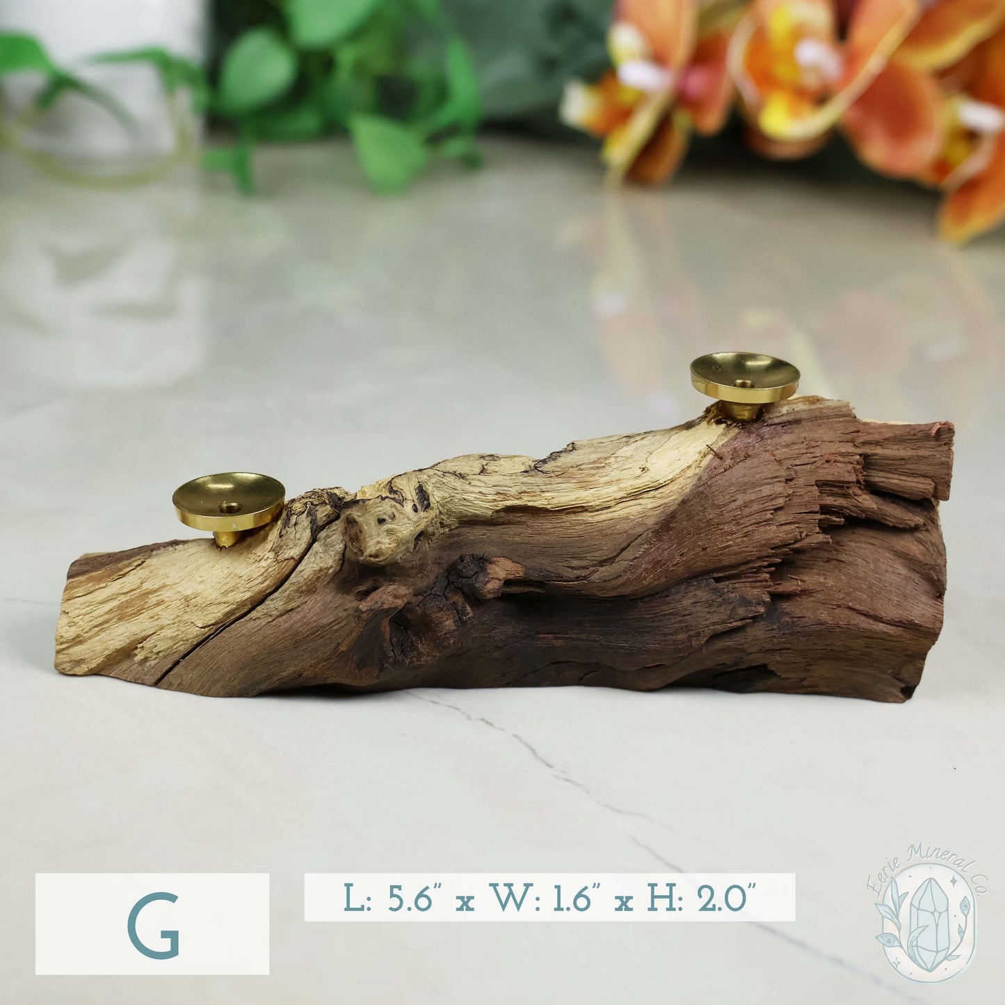 2 Sphere Holder Natural Driftwood Stands