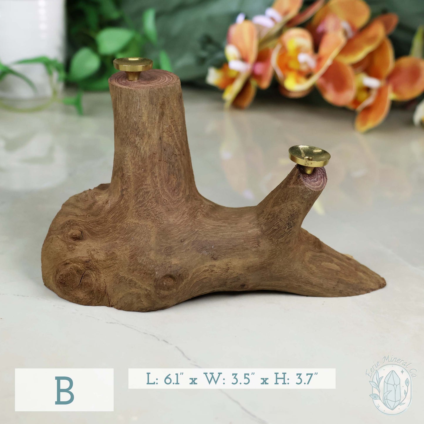 2 Sphere Holder Natural Driftwood Stands
