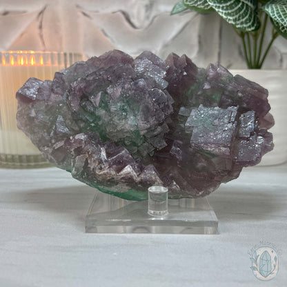 UV Reactive Watermelon Fluorite Specimen With Stand
