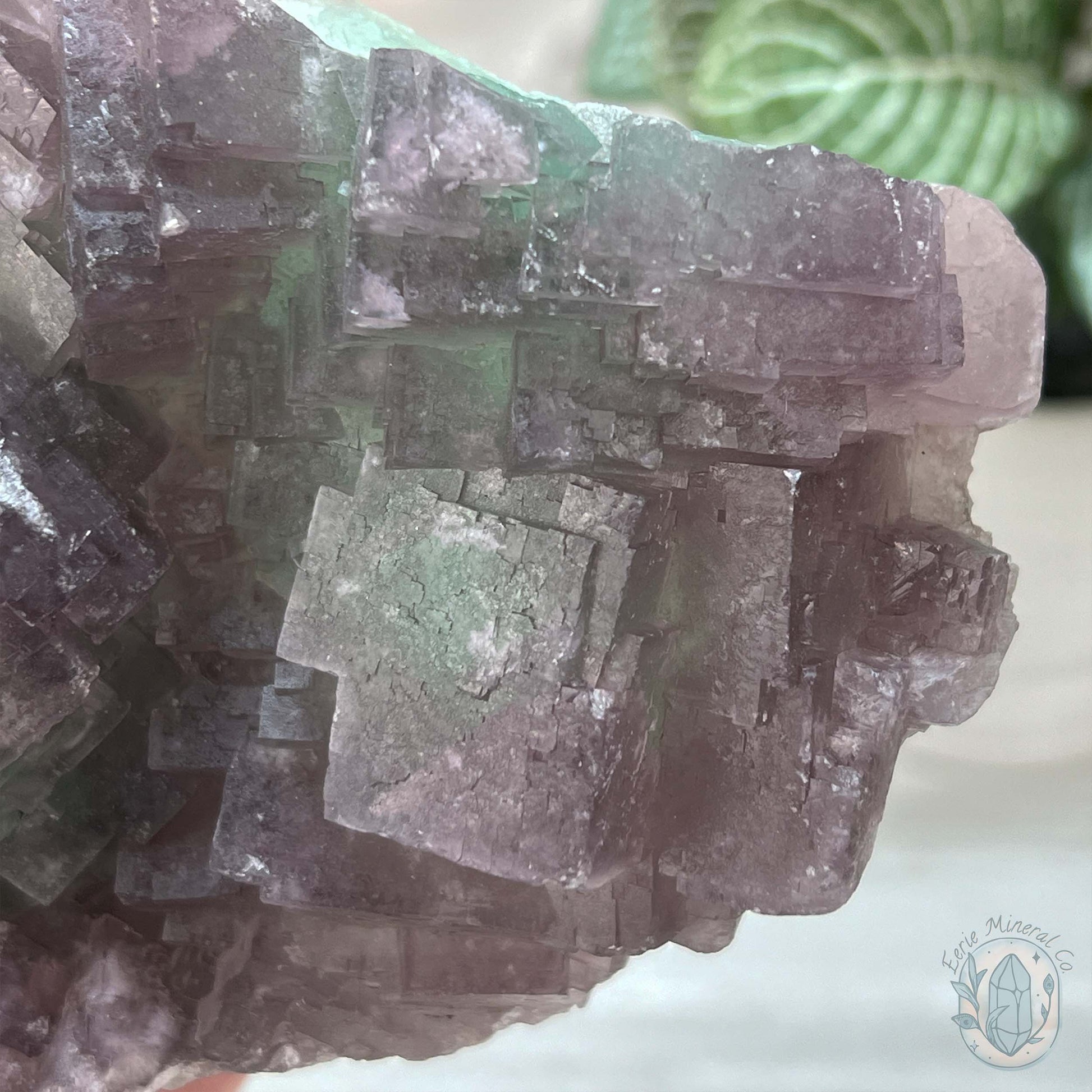 UV Reactive Watermelon Fluorite Specimen With Stand