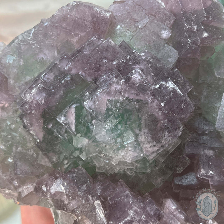 UV Reactive Watermelon Fluorite Specimen With Stand