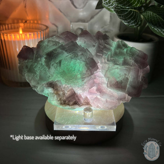 UV Reactive Watermelon Fluorite Specimen With Stand
