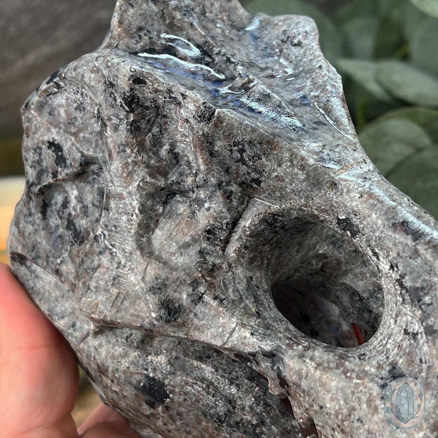 UV Reactive Emberlite aka Firestone Dinosaur Skull Carving