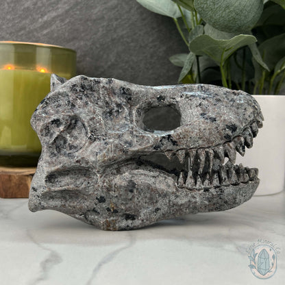UV Reactive Emberlite aka Firestone Dinosaur Skull Carving