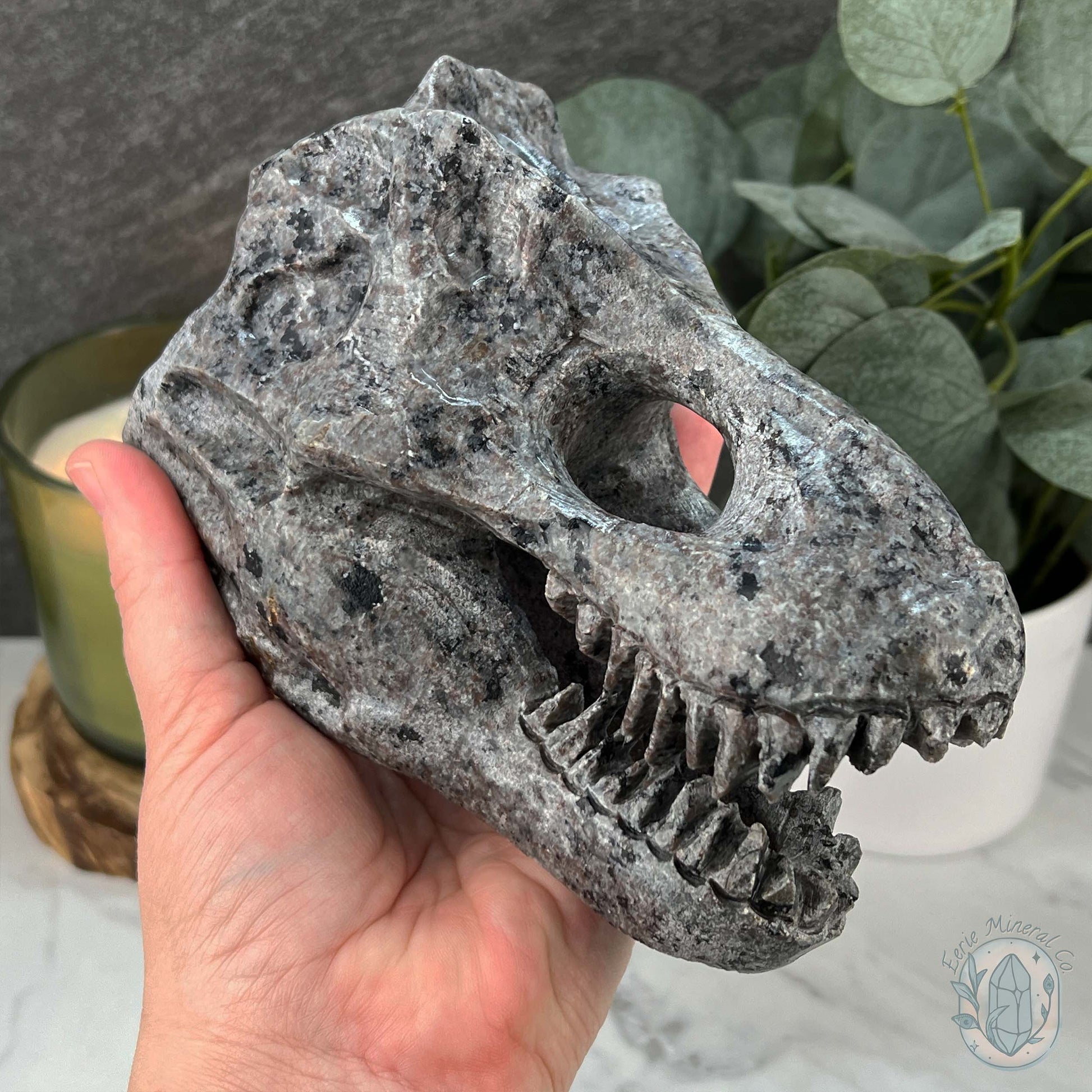 UV Reactive Emberlite aka Firestone Dinosaur Skull Carving