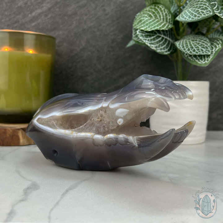 Agate with Quartz Fanged Dinosaur Skull Carving