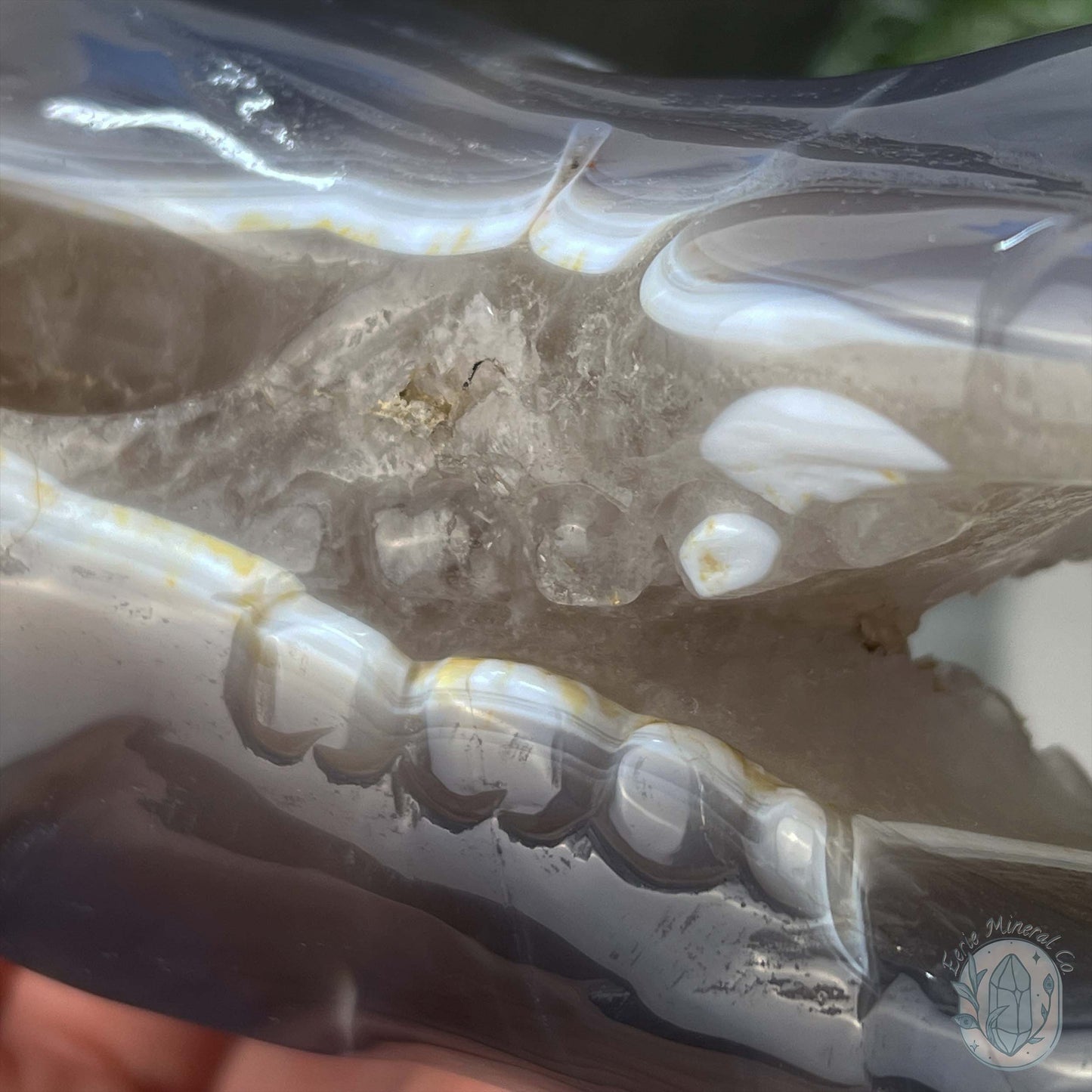 Agate with Quartz Fanged Dinosaur Skull Carving