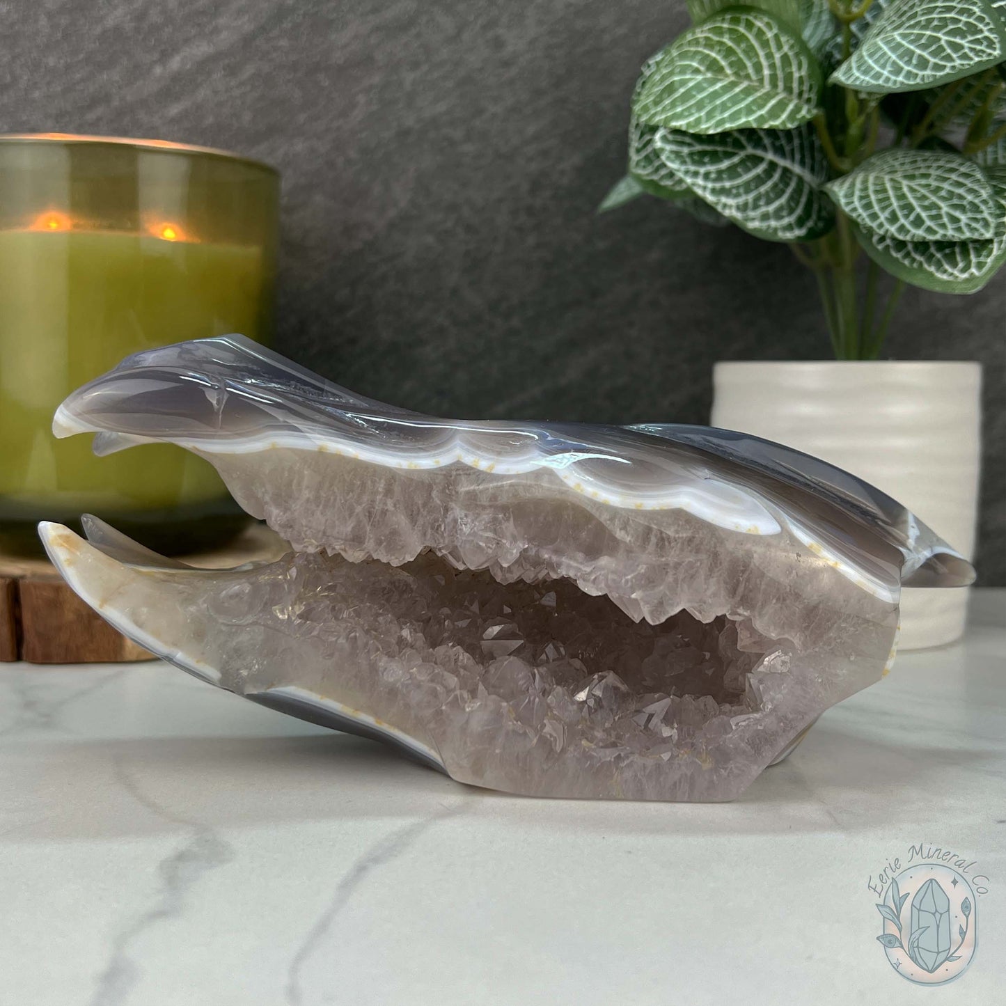 Agate with Quartz Fanged Dinosaur Skull Carving