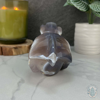Agate with Quartz Fanged Dinosaur Skull Carving