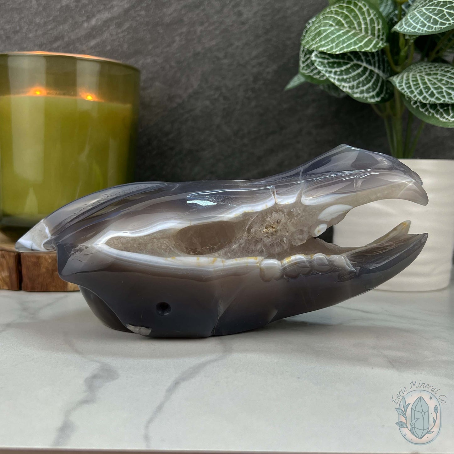 Agate with Quartz Fanged Dinosaur Skull Carving