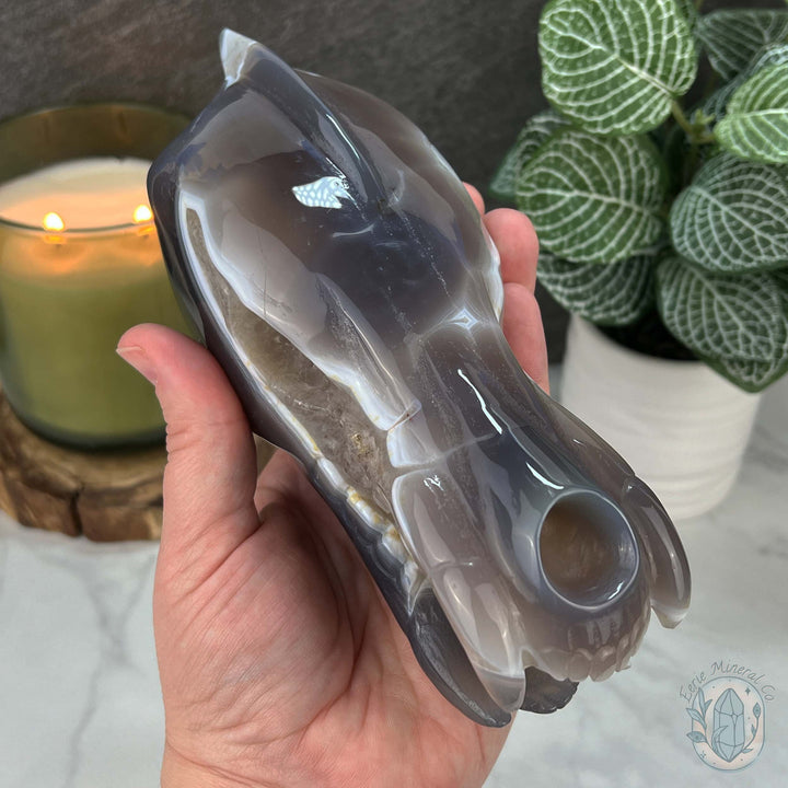 Agate with Quartz Fanged Dinosaur Skull Carving