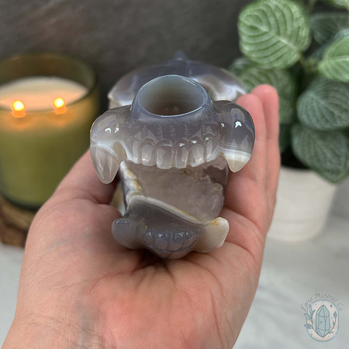 Agate with Quartz Fanged Dinosaur Skull Carving