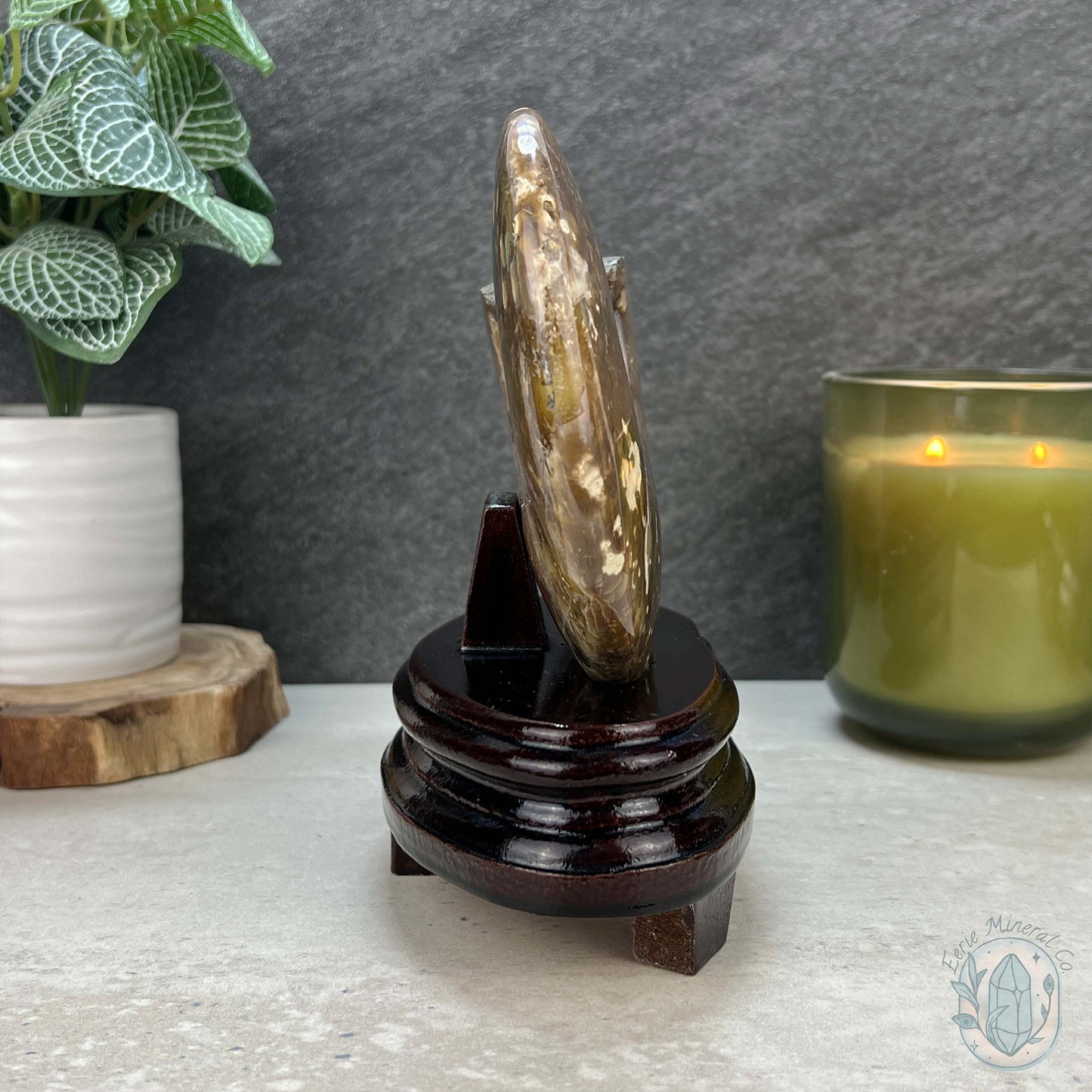 Polished Ammonite Fossil With Red Flash And Stand