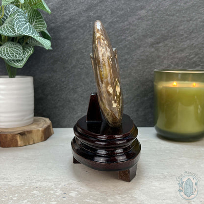 Polished Ammonite Fossil With Red Flash And Stand