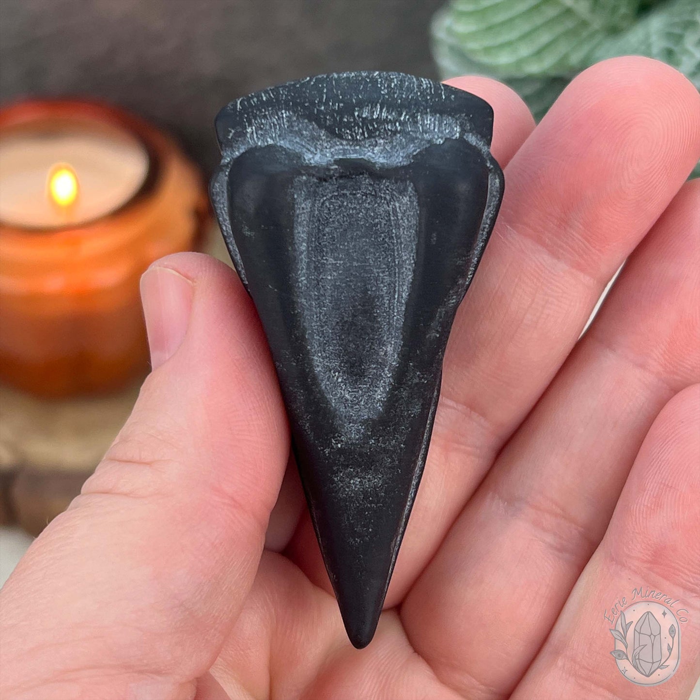 Black Obsidian Raven Skull Matte Finish Carvings
